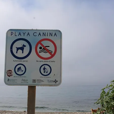 Frente Al Mar Апартаменты